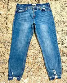 DEAR JOHN distressed jeans women’s size 12/31 Blaire straight