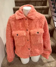 Teddy Coat