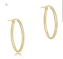 E newton oval gold hoop earrings 