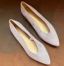A New Day Pointed Toe Ballet Flats