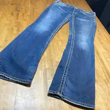 Silver jeans Berkeley Surplus Bootcut 28/33