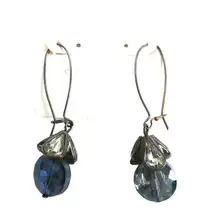 Silver Tone Dangly Pierced Earrings Wire Beaded Rhinestone Sparkly Blue Dangle