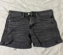 Mid Rise Boy Shorts