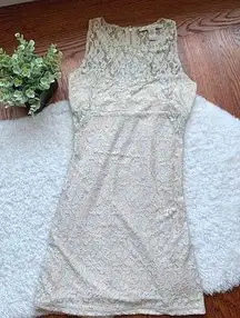 American Rag Champagne gold lace fitted Bodycon dress SZ small