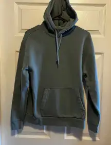 Hollister Sweatshirt Small Bird Icon Teal Green