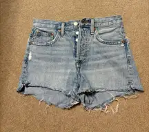 Aritzia Denim Forum Shorts