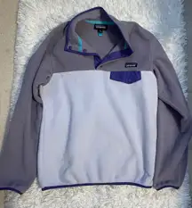 Purple Synchilla Snap-T Pullover