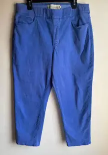 Soft Surroundings Women’s Blue Capri Size Large