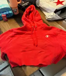 Champion Cropped Hoodie