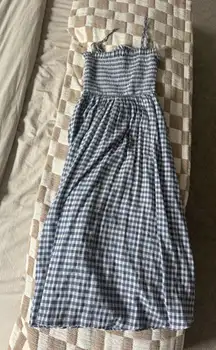 Petal and pup gingham midi dress