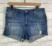 STS Blue Aubrey Shorts in Elmwood Medium Blue Size 28