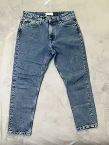 Calvin Klein Jeans Blue Denim Straight Mid Rise Retro Outdoors W31‎