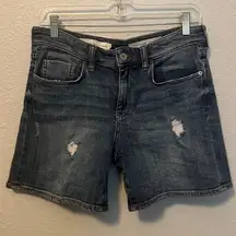 Pilcro and the Letterpress Slim Boyfriend Short Size 27