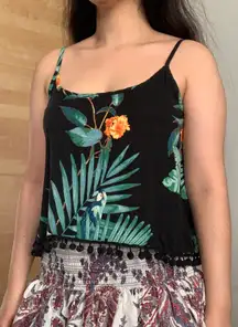 Pom Pom Tropical Tank