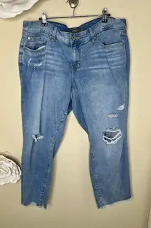 NTM: Torrid Boyfriend Cropped Distressed Raw Hemline Mid Rise Jeans Sz 12