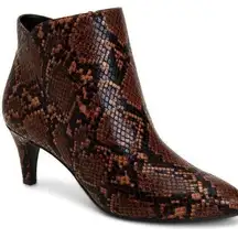 NWOB  Harpper Kitten Heel Ankle Booties in Chocolate Snake