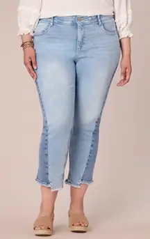 Democracy "Ab"solution Spliced Straight Leg Inside Step‎ Frayed Hem Size 24W