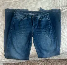 7 For All Mankind Jeans Dojo