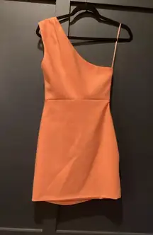 Revolve Likely Gonnella Birds of Paradise one shoulder rouched mini dress 4 New