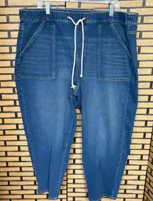 Terra & Sky Denim Pull On Jeans Size 1X