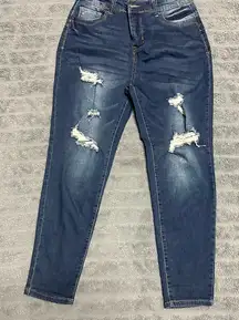 Harmony & Havoc Blue Jeans