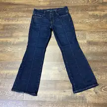 American Eagle Jeans Curvy Kick Boot Dark Wash Womens 10 Short Center Seam Blue