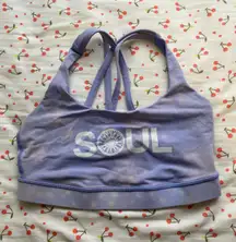 Soulcycle Sports Bra