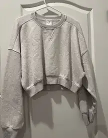 Aerie OFFLINE by Crewneck Cropped