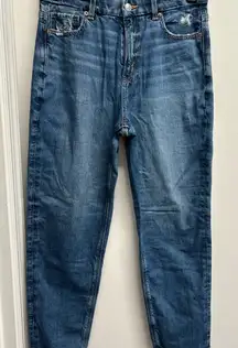 American Eagle Outfitters Women’s Strigid Mom Jeans Distressed Denim  30x30