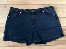 City Chic Denim 22 Black Distressed Denim Cutoff Shorts