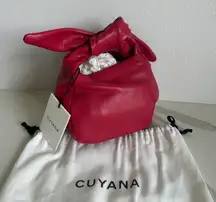 New Cuyana Mini Bow Bag Raspberry, Pebbled, Gold