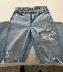 American Eagle Curvy 90s Straight Jeans