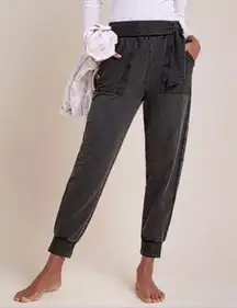 Anthropologie Saturday Sunday Sydney Belted Tie Waist Joggers Sweatpants XS