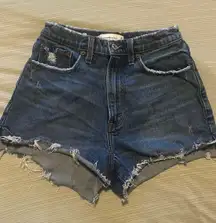 Abercrombie & Fitch Curve Love Denim Mom Shorts