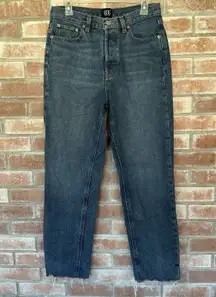 BDG Slim Straight High Waisted Button Fly Raw Hem Jeans Size 29
