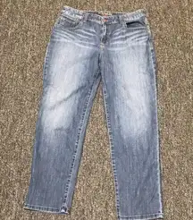 Chico Platinum Whisker Straight Leg Jeans