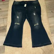 NWT Ashley Stewart Jeans