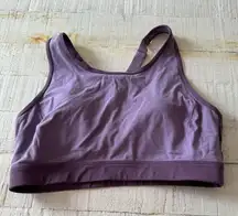 Fair Harbor the Corliss Sports Bra‎ size Large in Purple Racerback Activewear