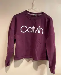 Calvin Klein Burgundy Cropped Sweatshirt