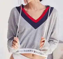 Urban Outfitters  Cropped Sweatshirt