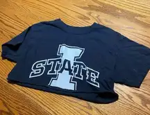 Iowa State Crop Top Size Medium