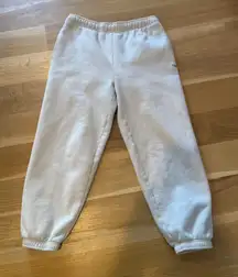 Aritzia TNA Sweatpants Mega