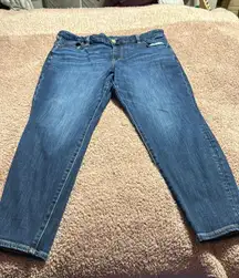 American Eagle skinny jeans size 16 short curvy jeggings