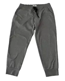Abercrombie & Fitch Gray Pull On Cropped Drawstrgin Jogger Pants