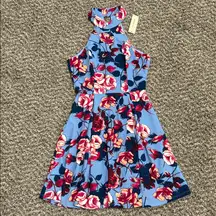 Francesca's Collections Blue and Red Floral Dress
