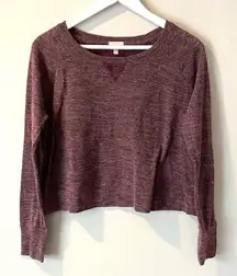 Victoria’s Secret long sleeve crop lace small purple long sleeve