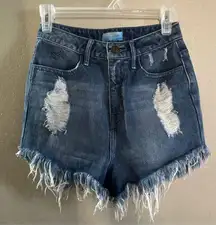 Show me your mumu Wyoming high waisted frayed short in surf blue Size 26