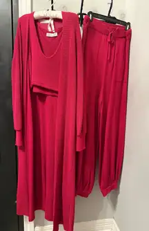 3 piece Free People Beach burgundy set. Pants , Crop top and sweater. 