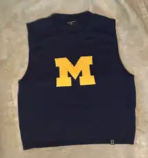 Hype And Vice Michigan Crop Top