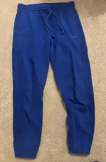 Aritzia TNA Boyfriend Sweatpants